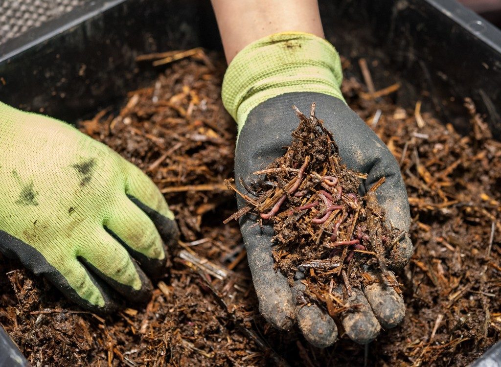 Worker holding a worm composting fertilizer