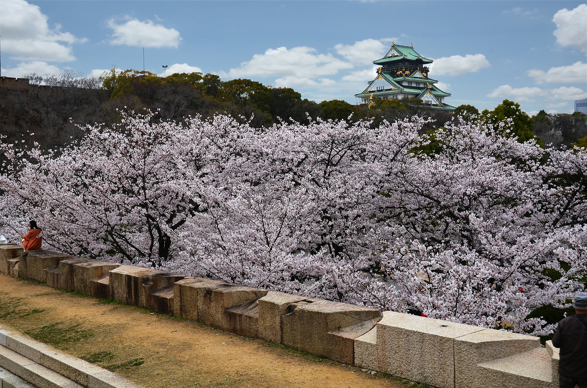 Osaka Hanami Guide 11 Best Cherry Blossom Viewing Spots To Canvas Osaka Hanami Guide 11 Best Cherry Blossom Viewing Spots To Canvas