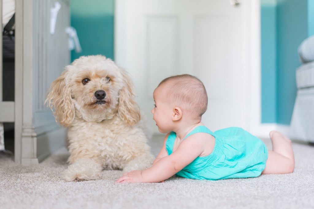 baby with a dog