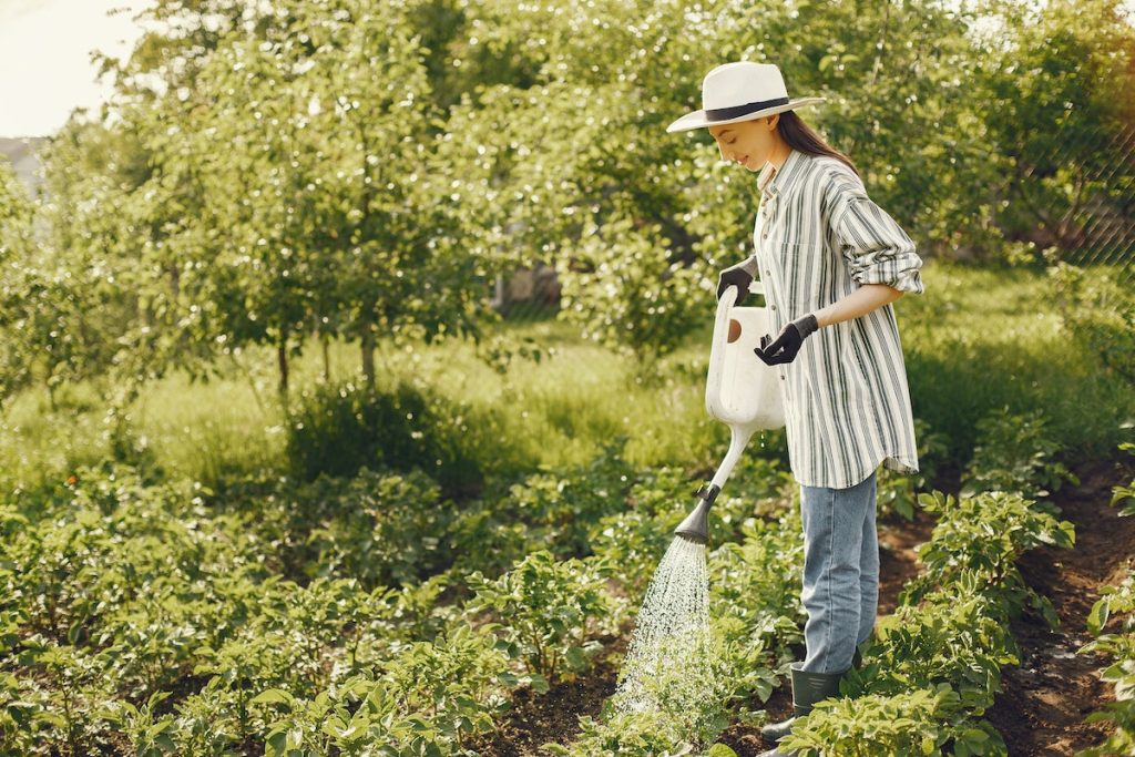 a woman watering her farm